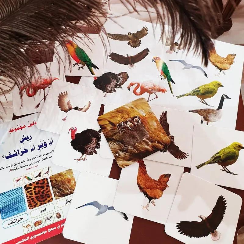 ريش ام وبر ام حراشف ؟
