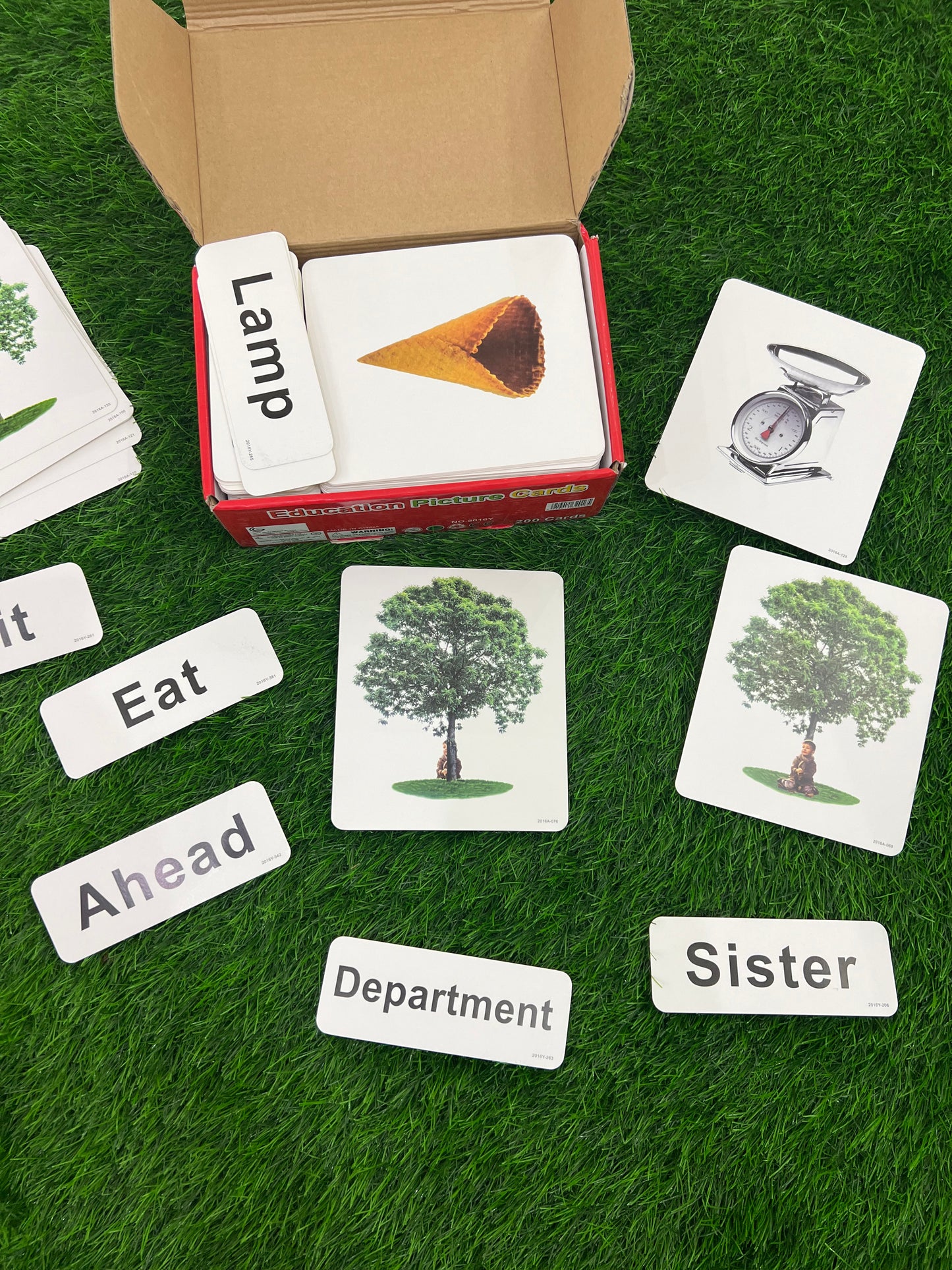 Education picture cards